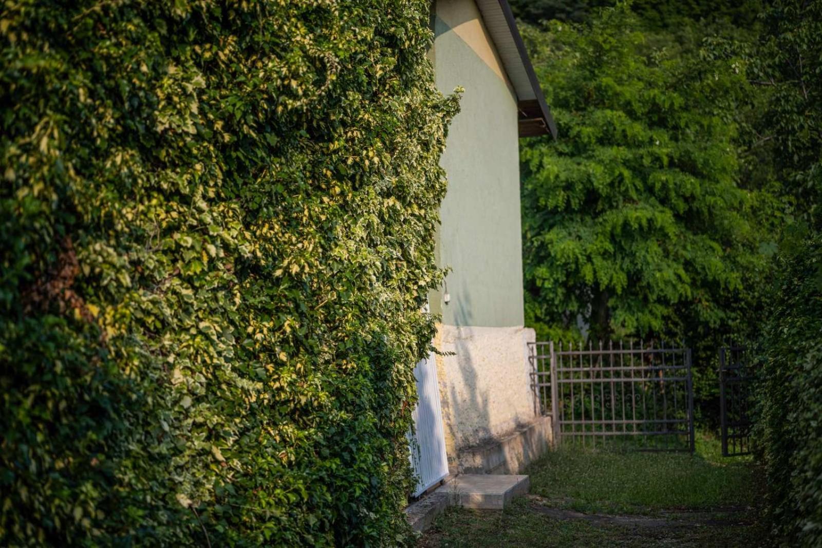 Vacation Home Rot Охрид Екстер'єр фото